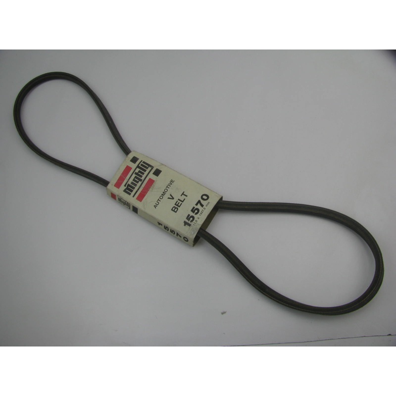Mighty 15570 Accessory Drive Belt - 0.44'' X 57.00'' - 36 Degree