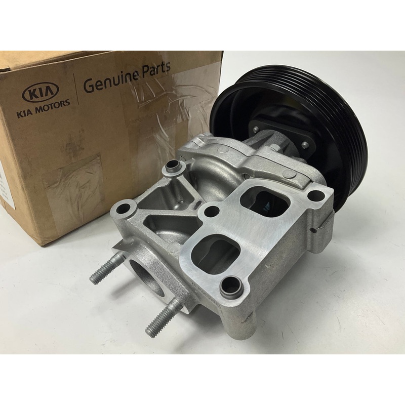 NEW GENUINE Engine Water Pump OEM For Kia 251002G000